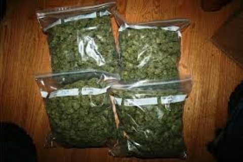 Best quality strains available for sale 1