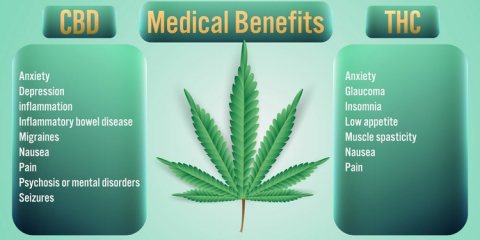 Medical Benefits of Marijuana