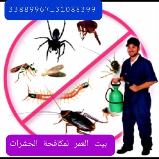 ابادة الحشرات والزواحف والقوارض 1