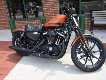 صورة 3  2020 Harley-Davidson Sportster XL883N 883 IRON