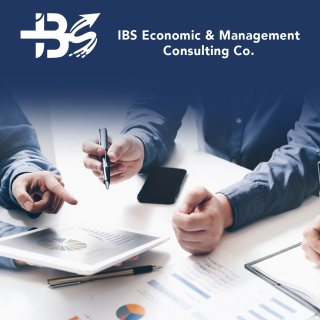 شركة IBS للاستشارات دراسات الجدوى الاقتصادية  وتكنولوجيا المعلومات