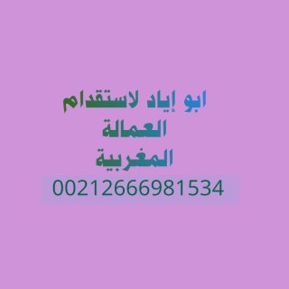 مكتب خدمات استقدام العمالة المغربية لدولة قطر 1