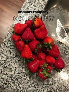 Fresh strawberry 3