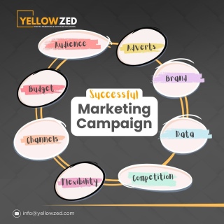 Yellowzed marketing  5