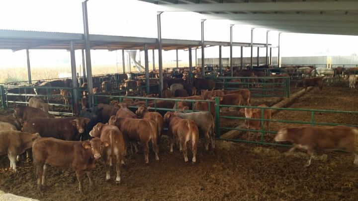 استثمار في اسبانيا شراء مزارع  عقارات فنادق منازل