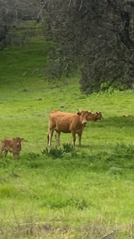 استثمار في اسبانيا شراء مزارع  عقارات فنادق منازل 4