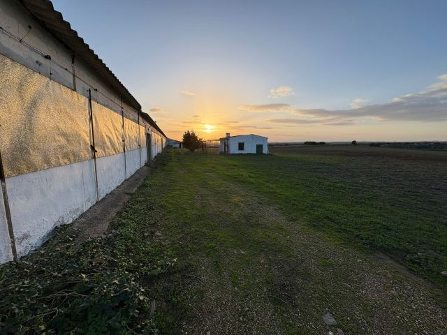 استثمار في اسبانيا شراء مزارع  عقارات فنادق منازل 6