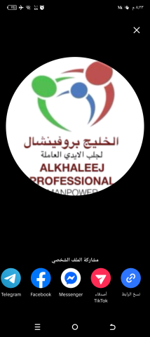 شركة الخليج بروفيشنال لجلب الايدي العاملة